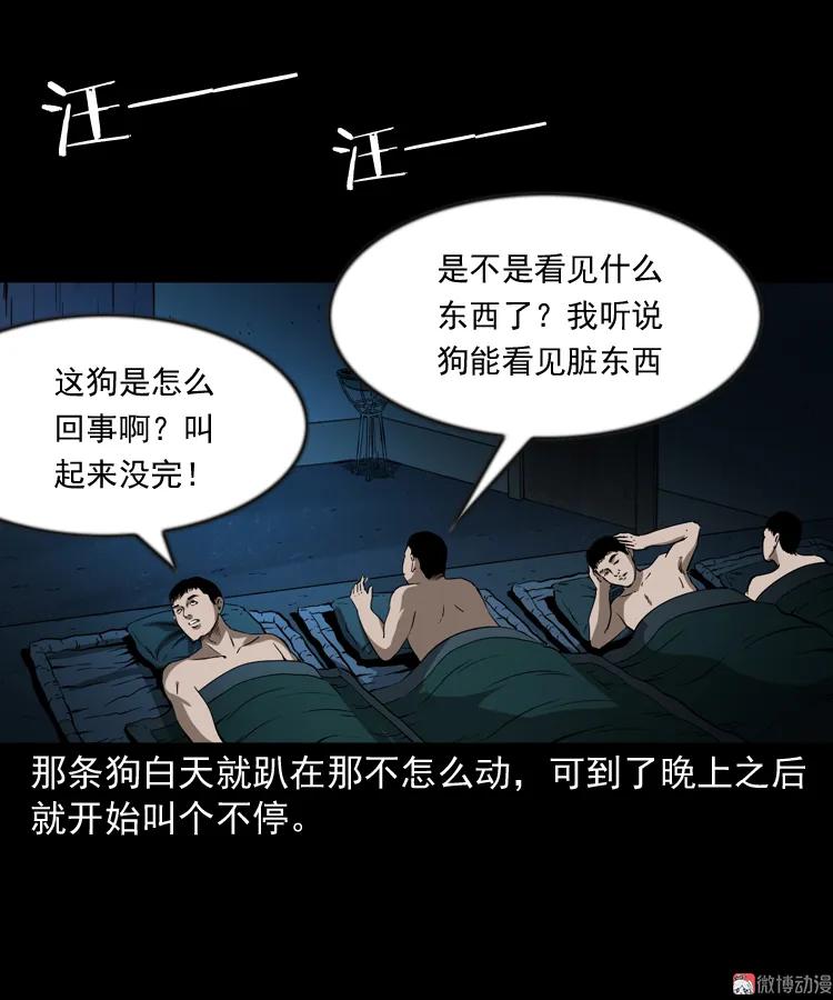 鬼火55