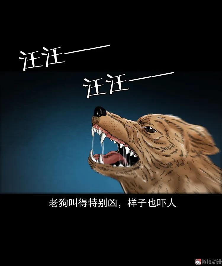 鬼火59