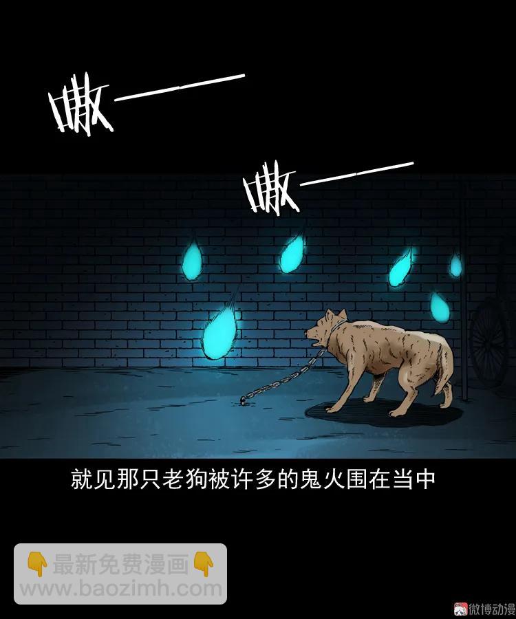 鬼火81