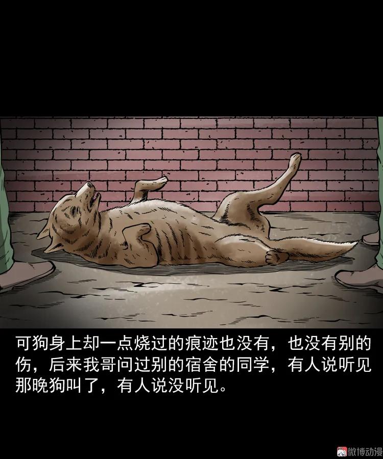鬼火88