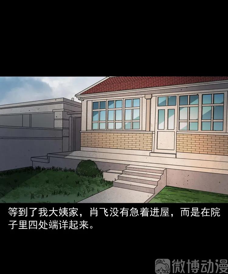 白头翁之压头煞29