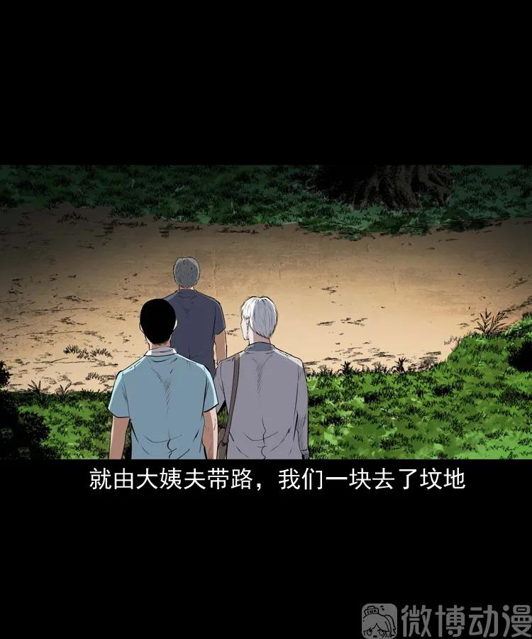 白头翁之压头煞41