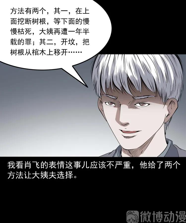 白头翁之压头煞67