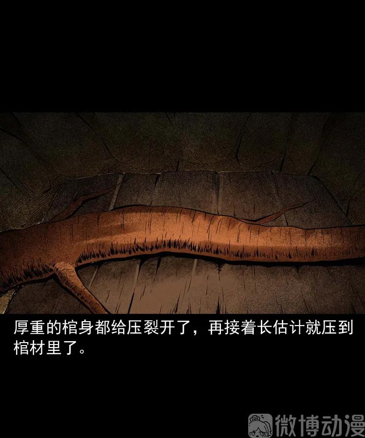 白头翁之压头煞74