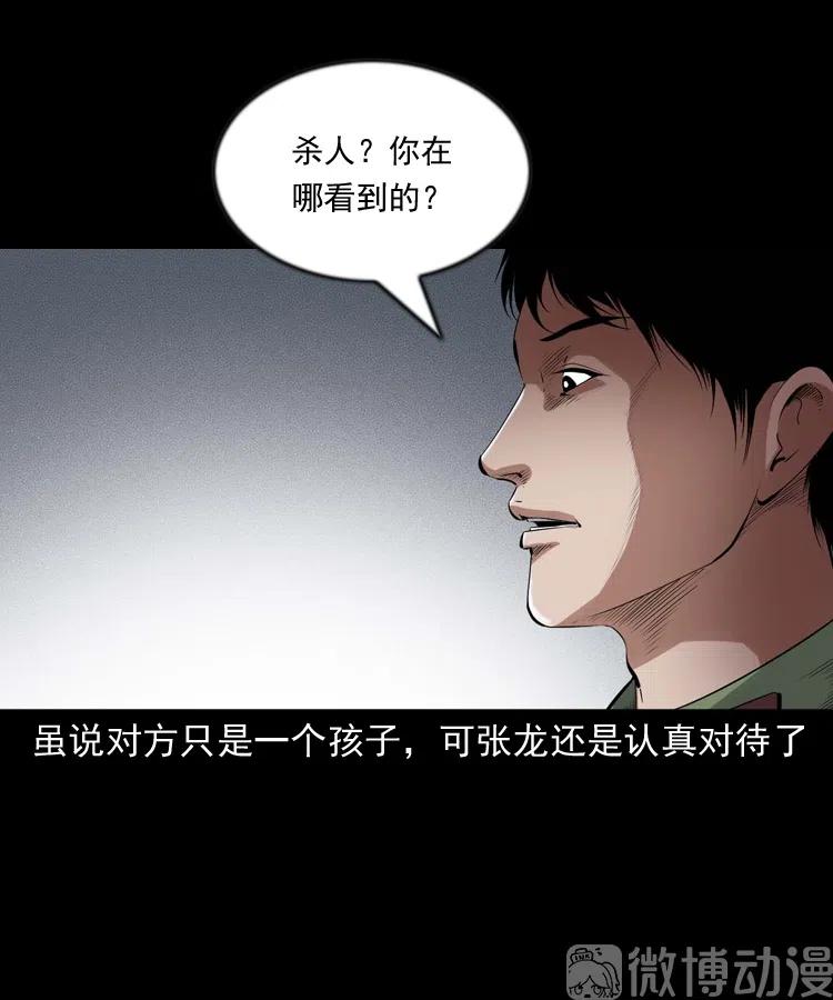 灵童追凶11