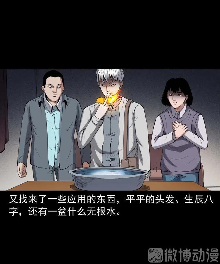 白头翁之招错魂80
