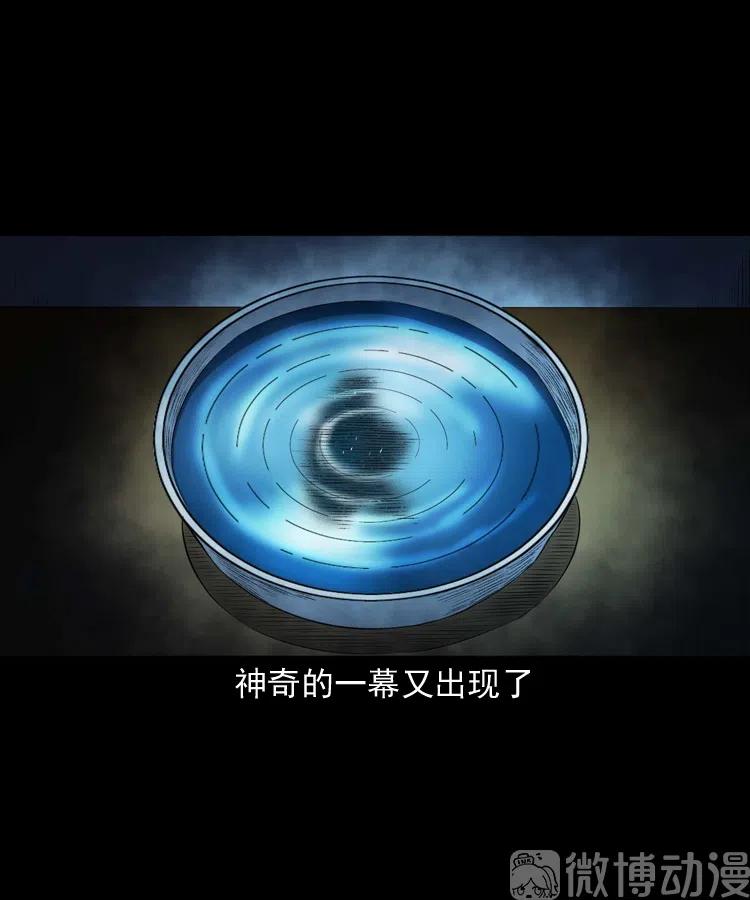 白头翁之招错魂82