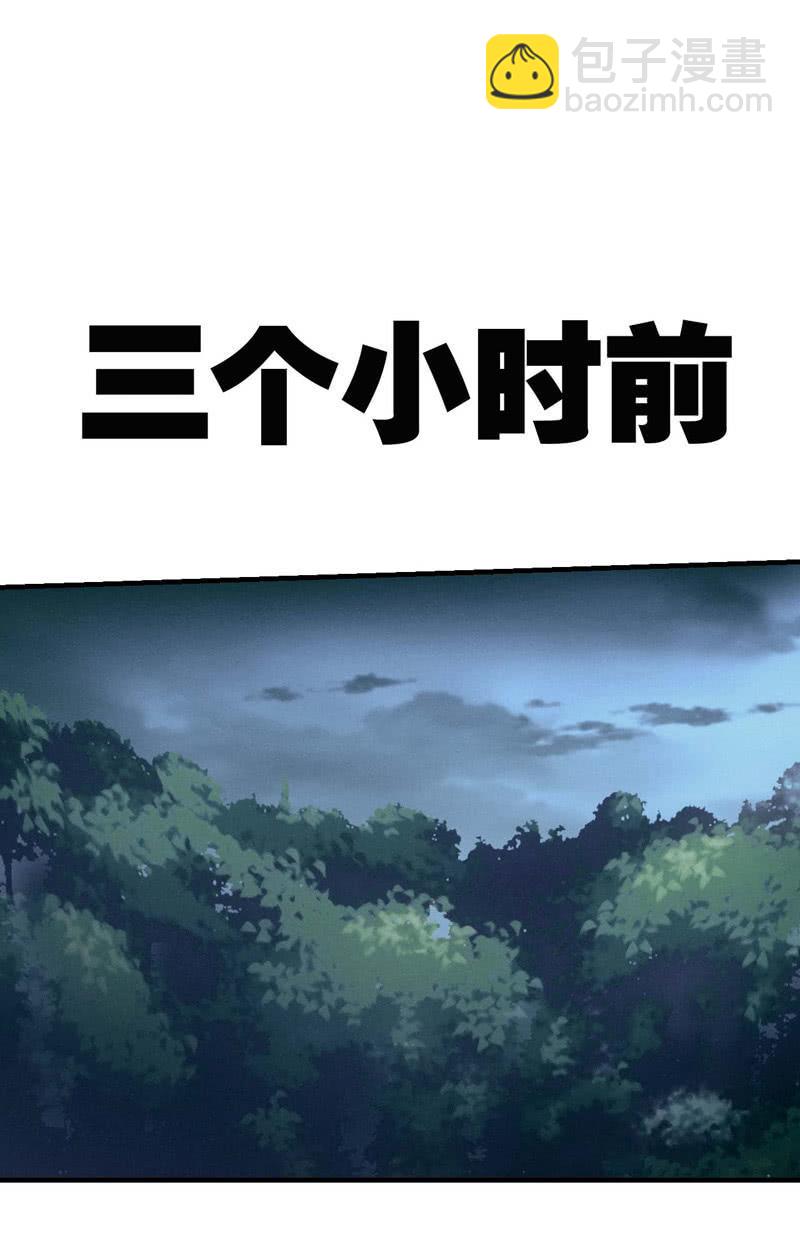 复仇之魂11