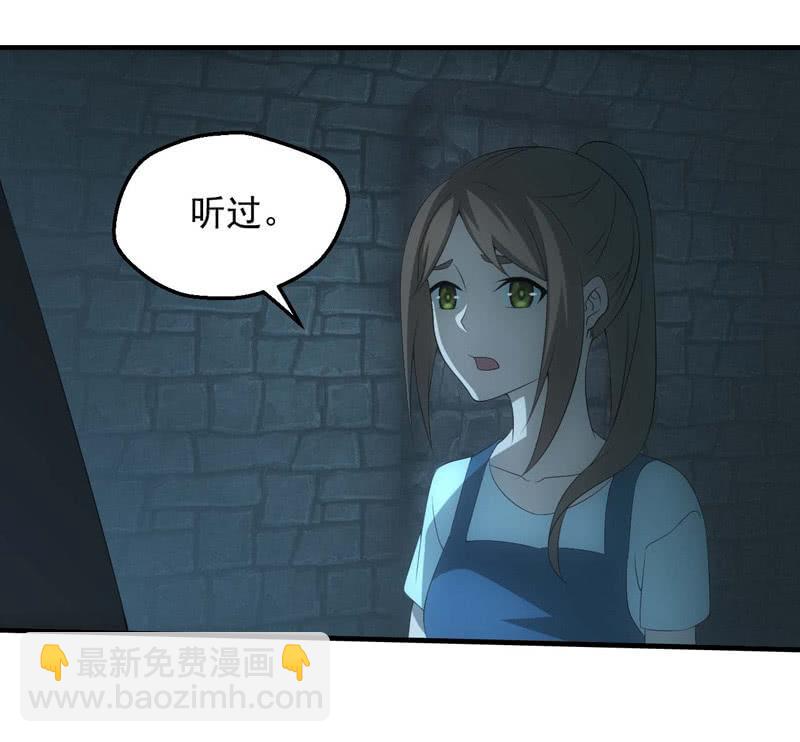 鲲鹏传说11