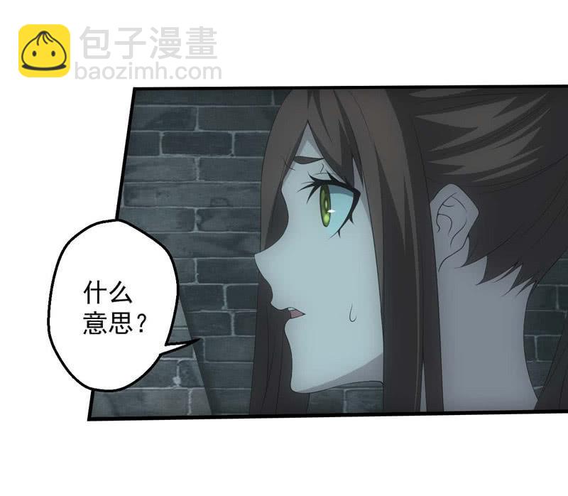 鲲鹏传说33