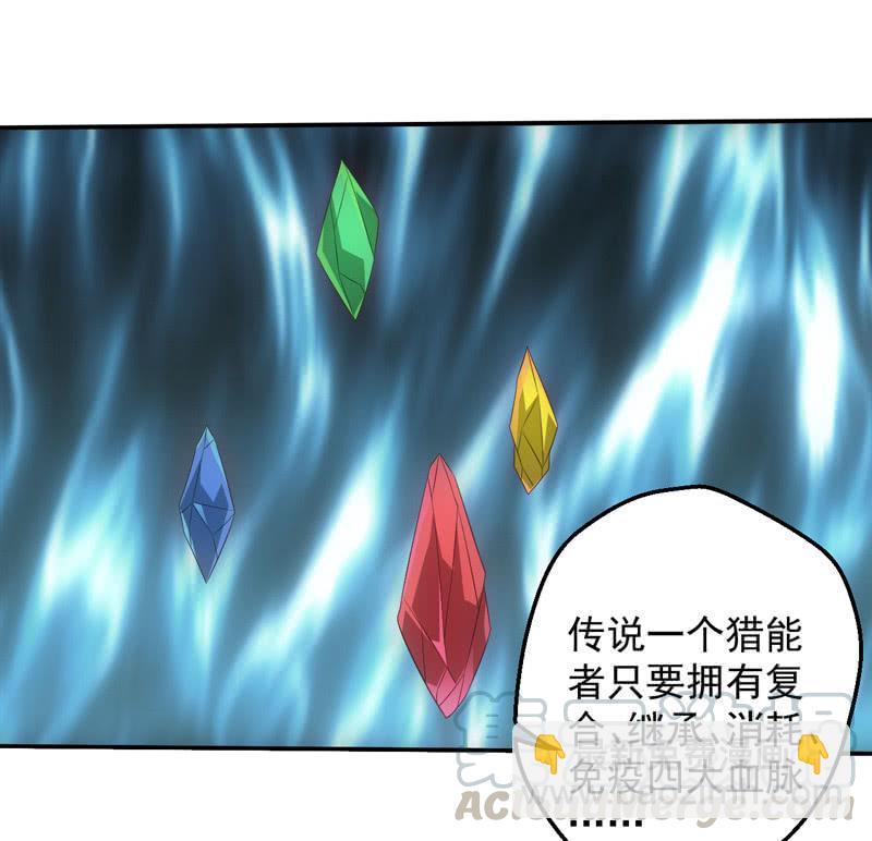四大血脉的秘密14