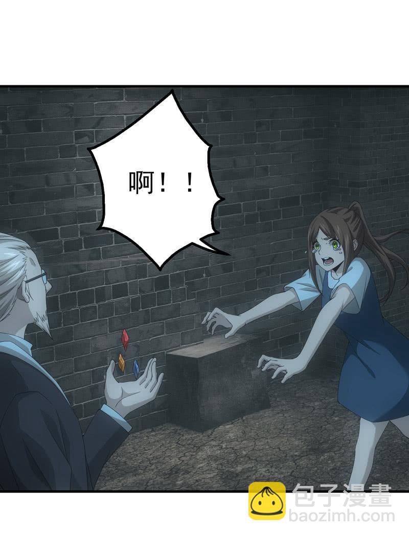 四大血脉的秘密27