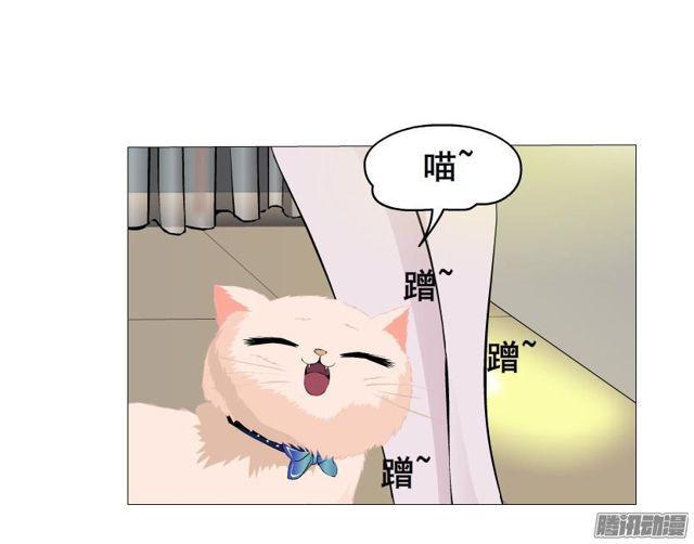 第79集 表白13