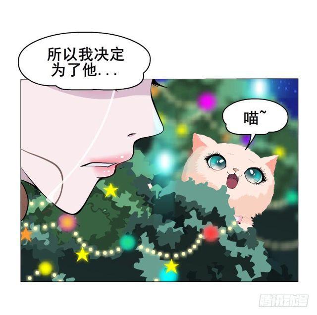 第二季 第20集 猫咪危机40