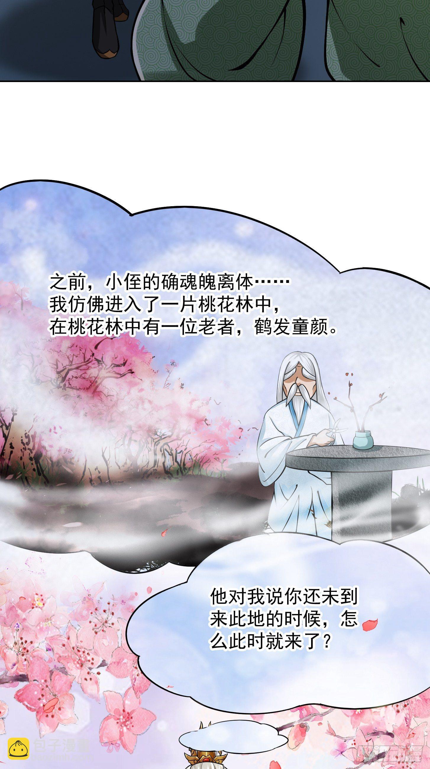 009 桃花庵里桃花仙18