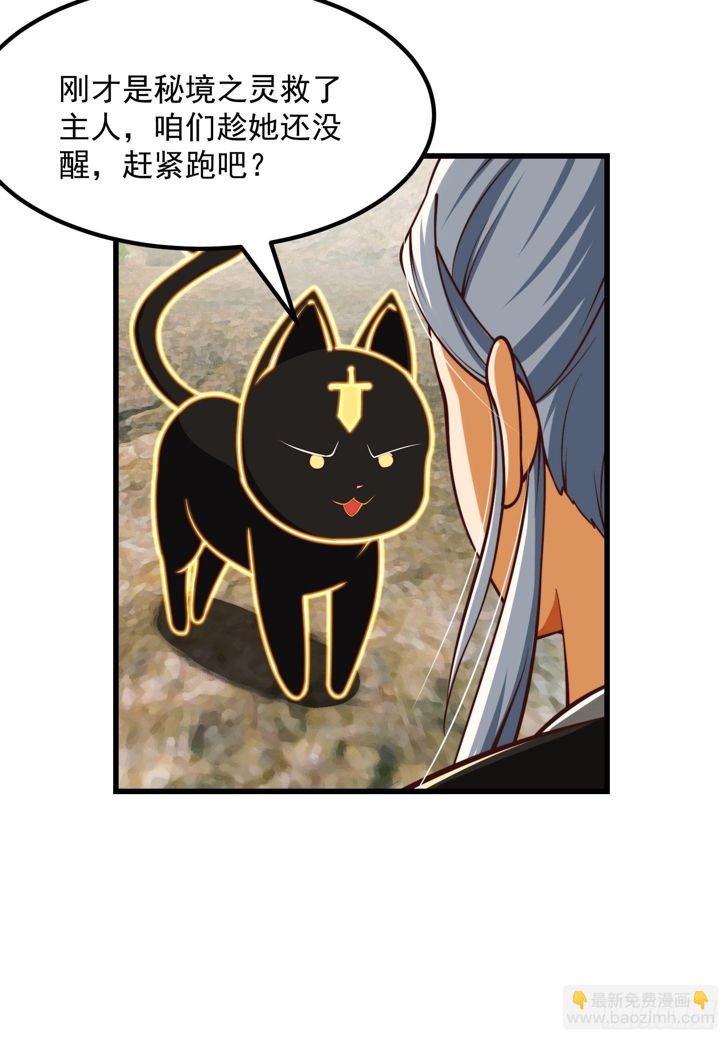 38话 人间清醒的猫14