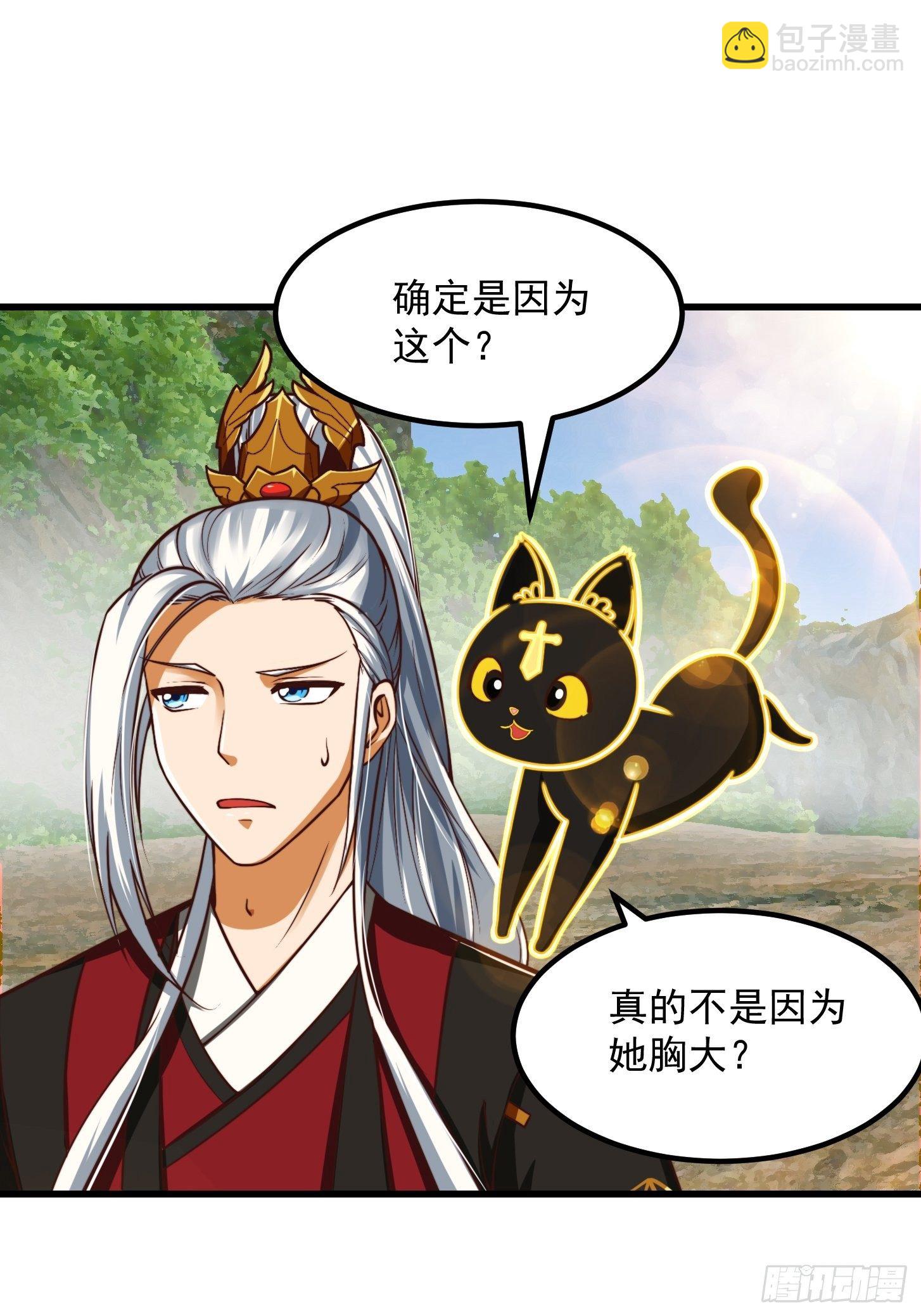38话 人间清醒的猫21