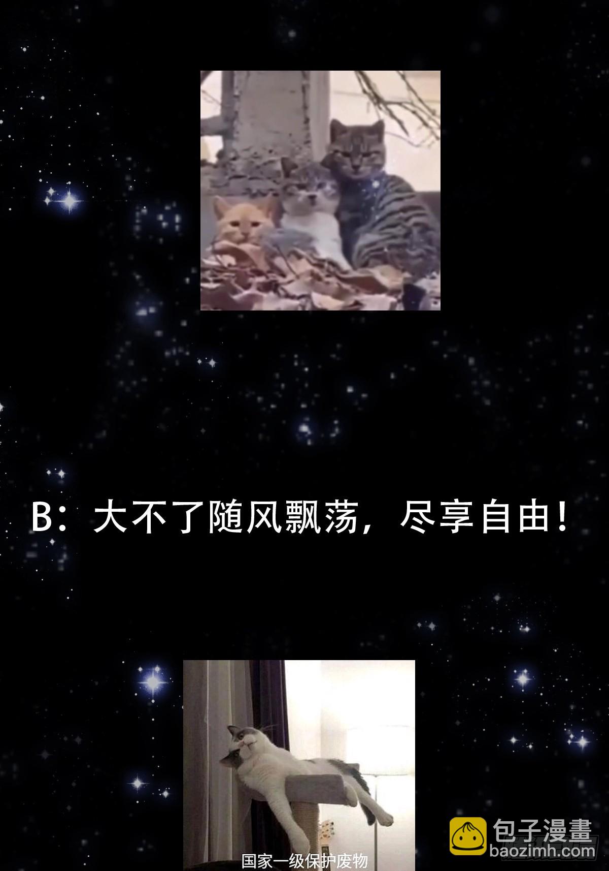 138 好多香香的！42