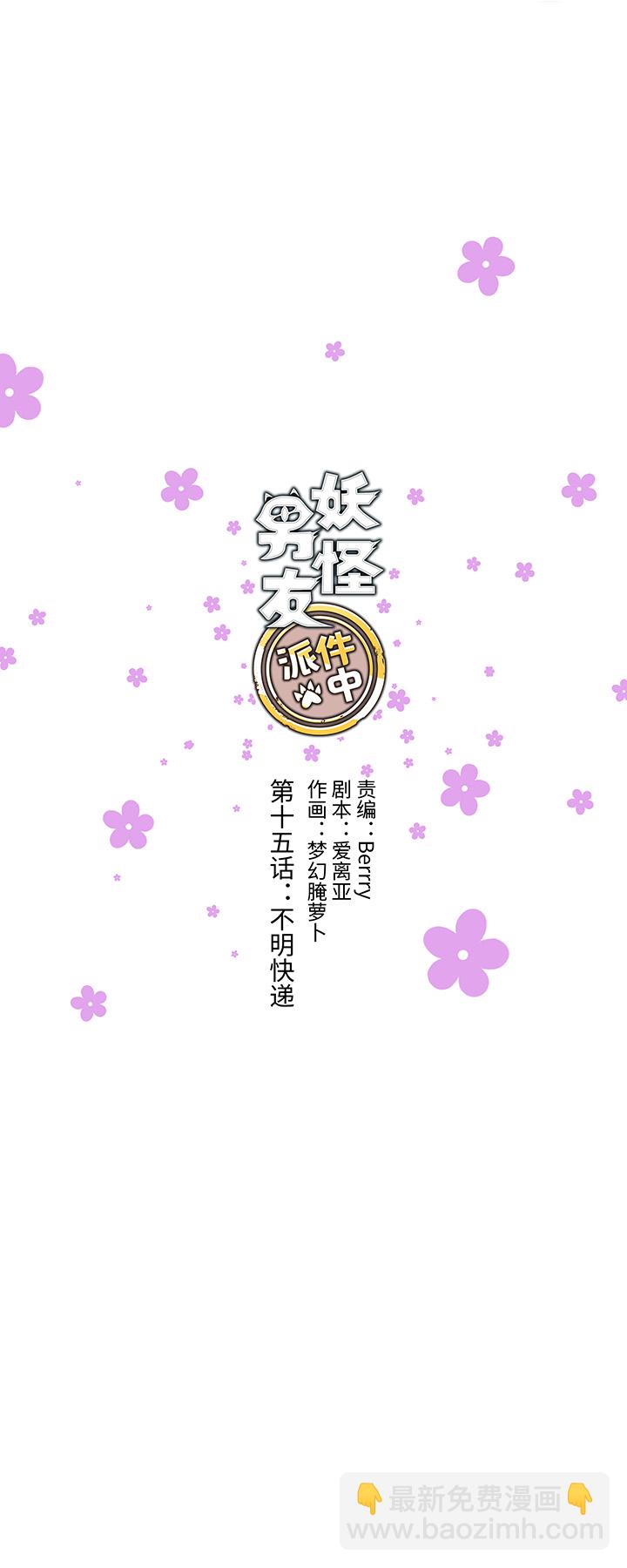 15 不明快递3