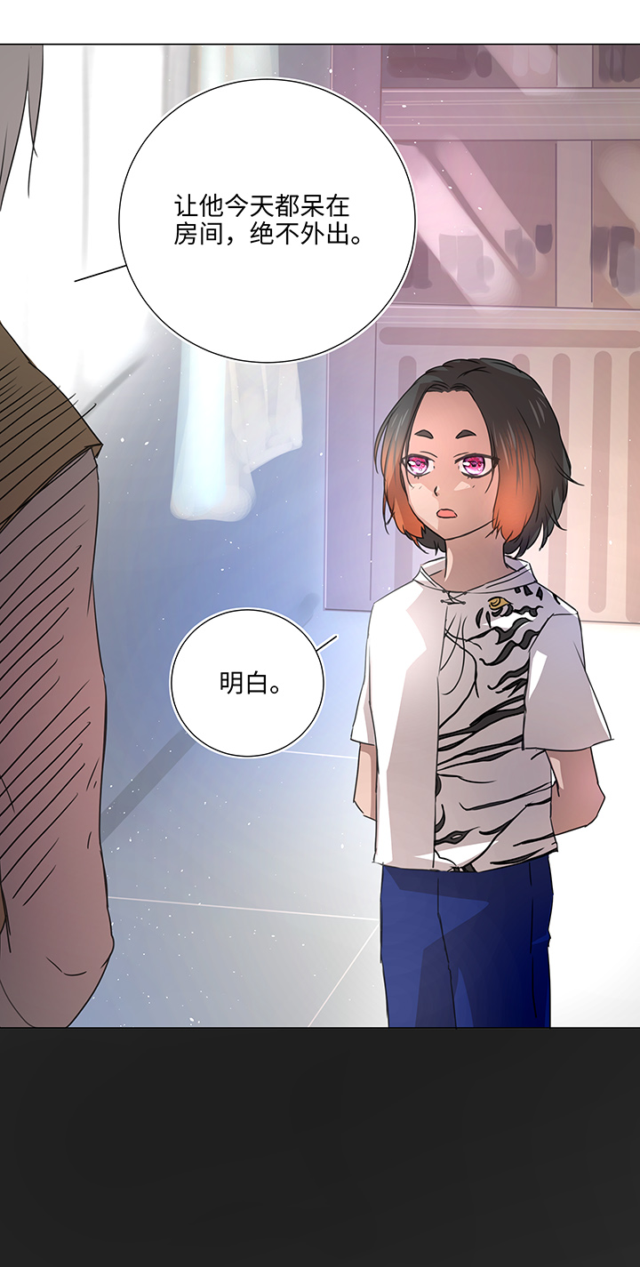 51 伪装4