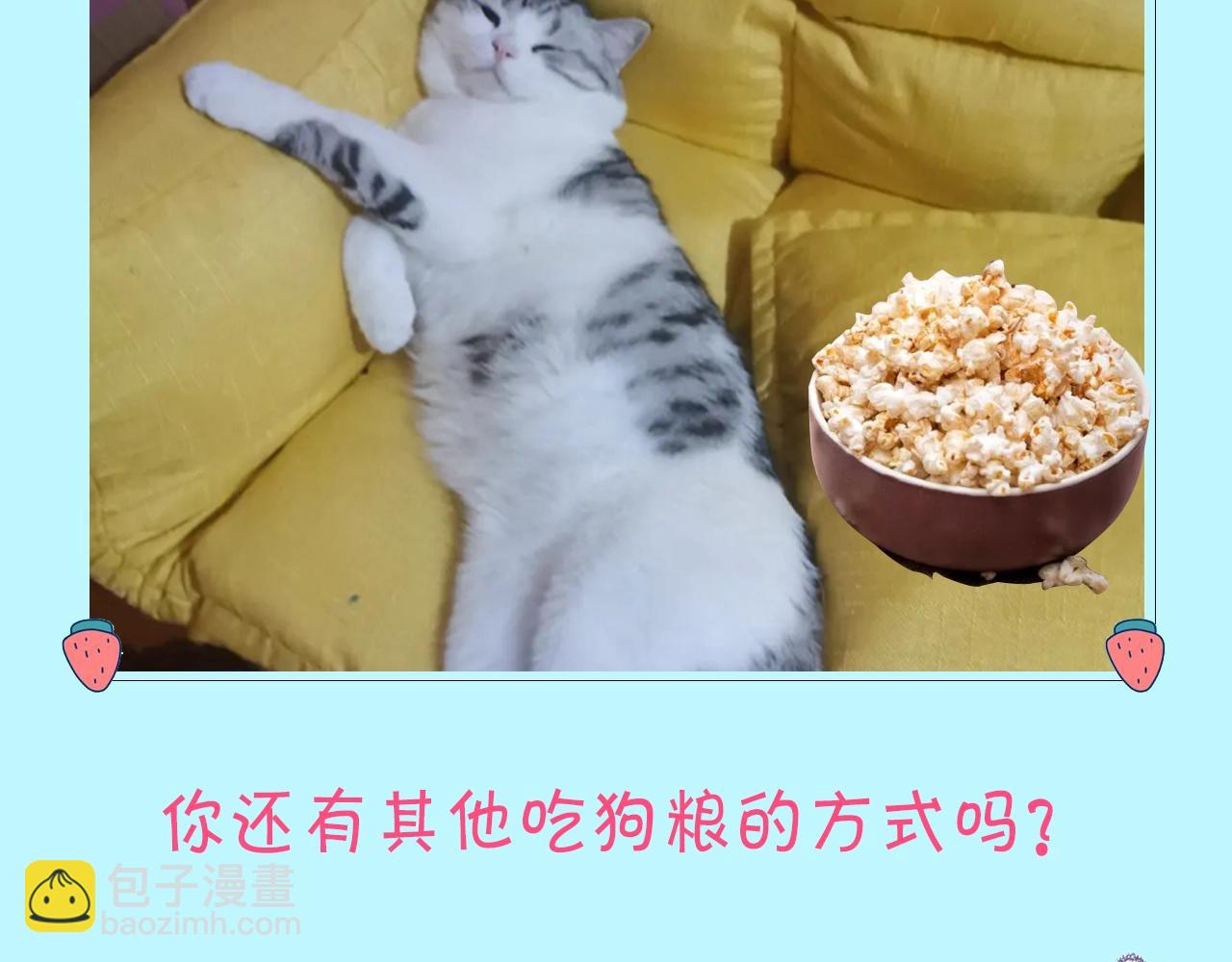第12期 吃狗粮的正确姿势（日更中）7