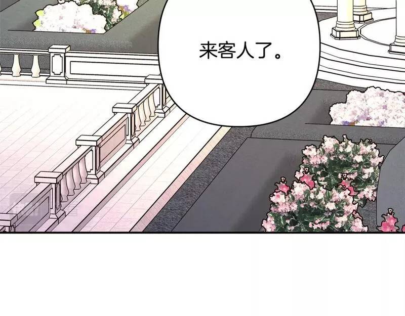 第55话242