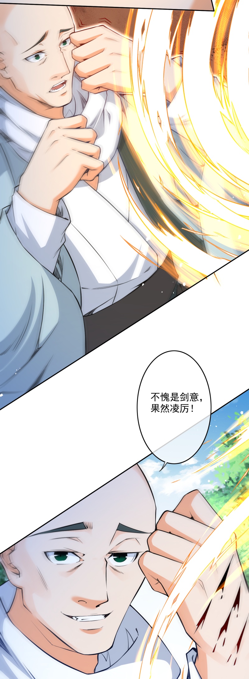 第178话 剑意22