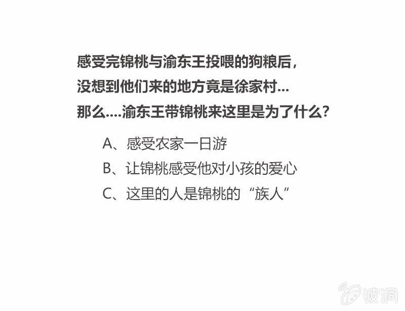 投喂狗粮44