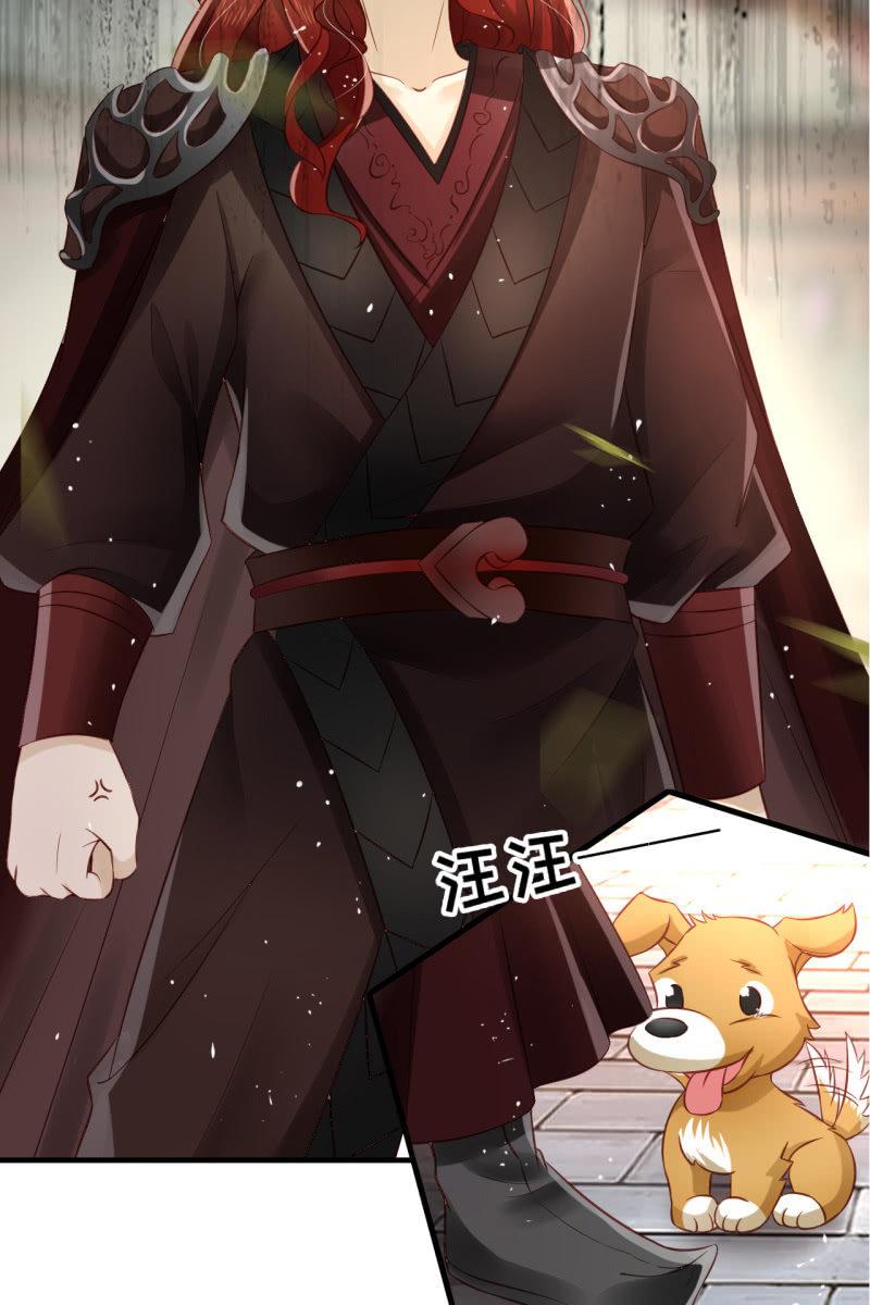 夫君回来了11