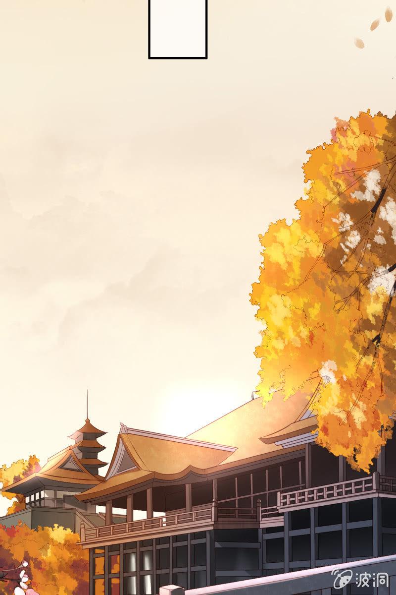 册封王妃24