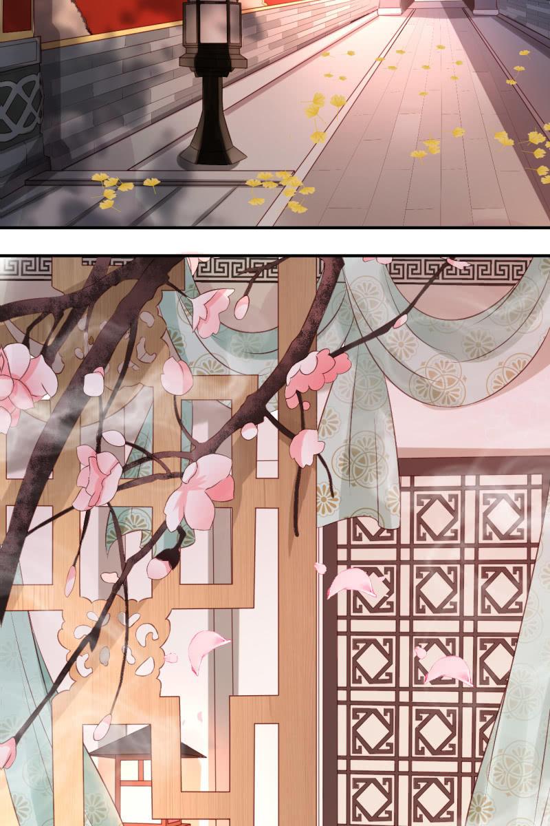 册封王妃26