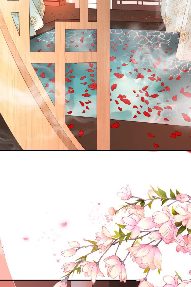 册封王妃27