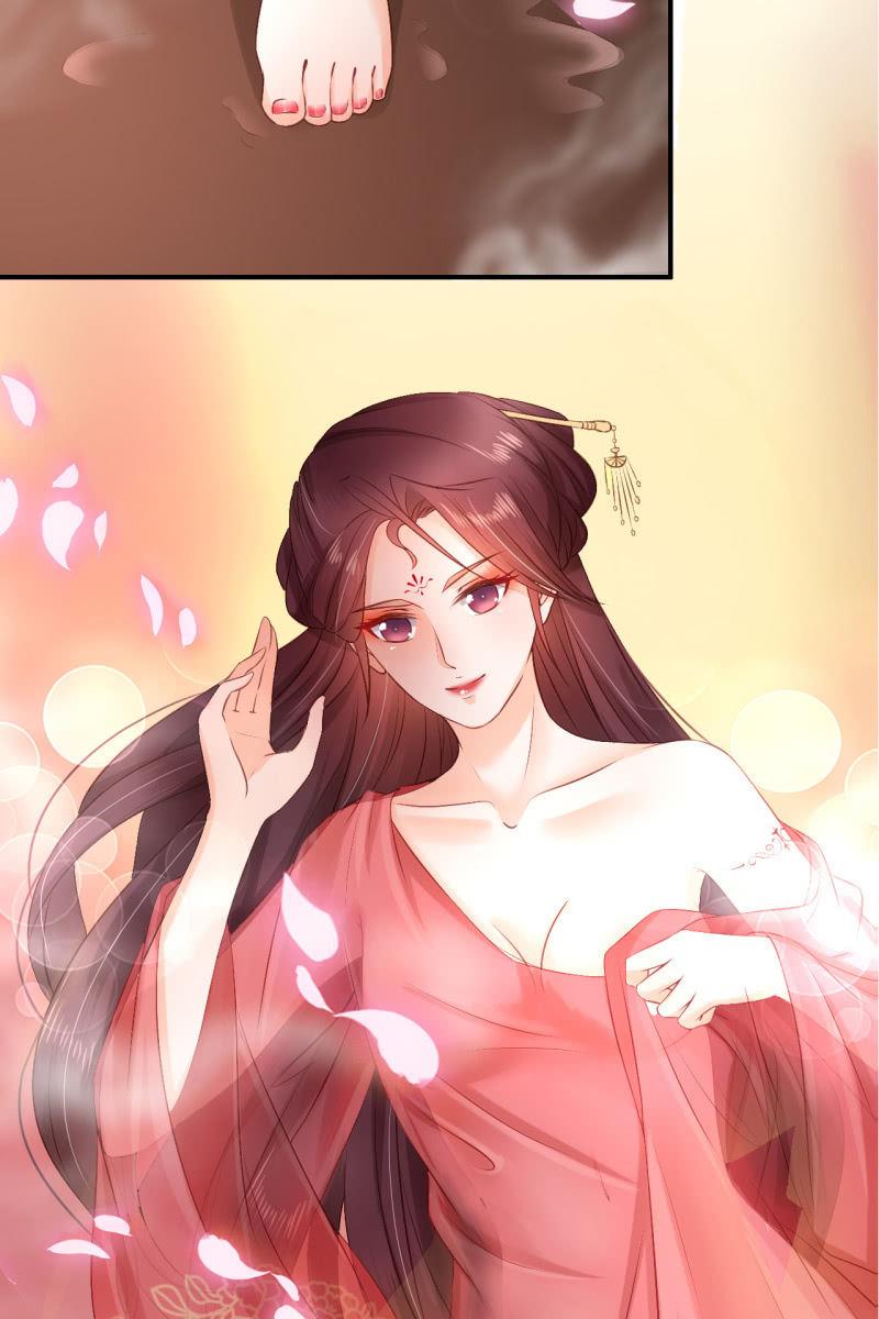 册封王妃31