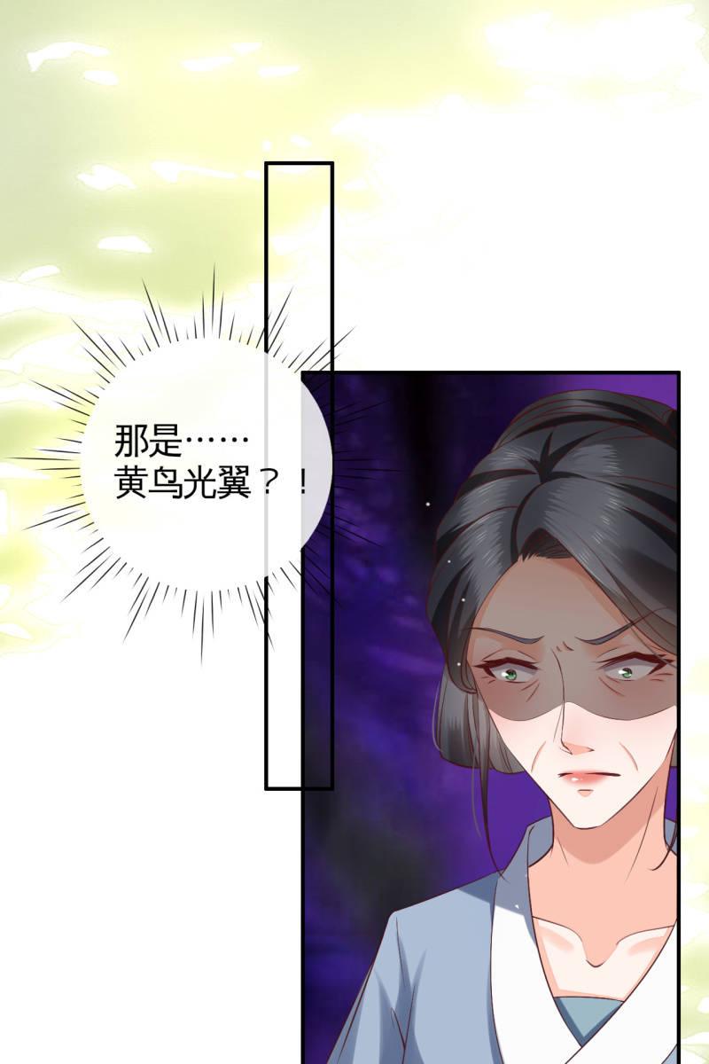 锦桃赶来31