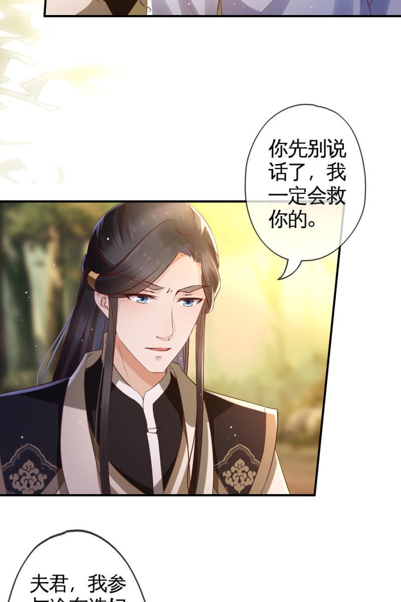 锦桃赶来5