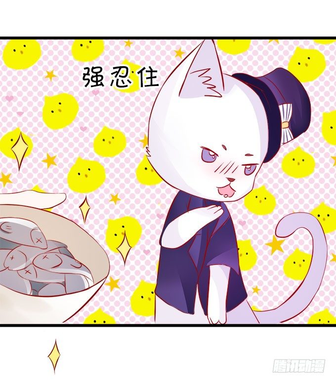 你们背着本尊计划什么呢？60