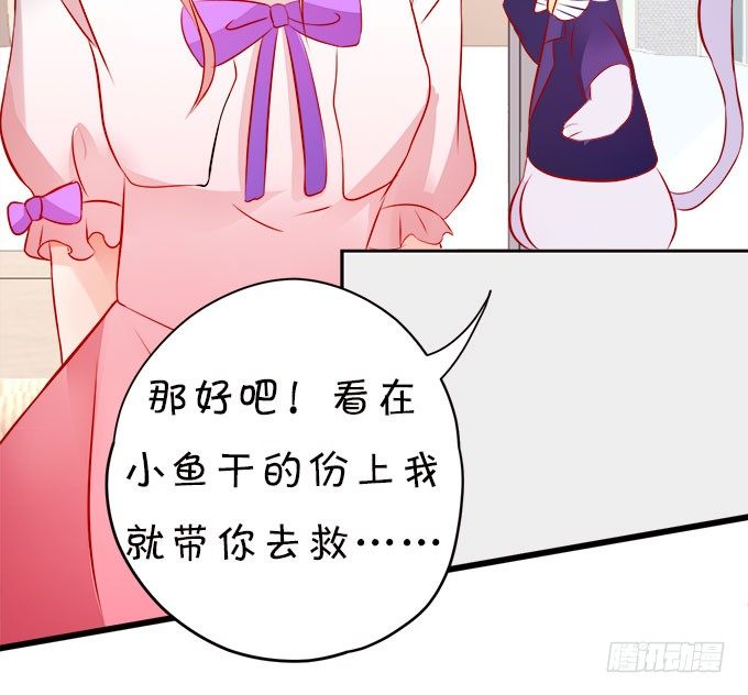 你们背着本尊计划什么呢？67