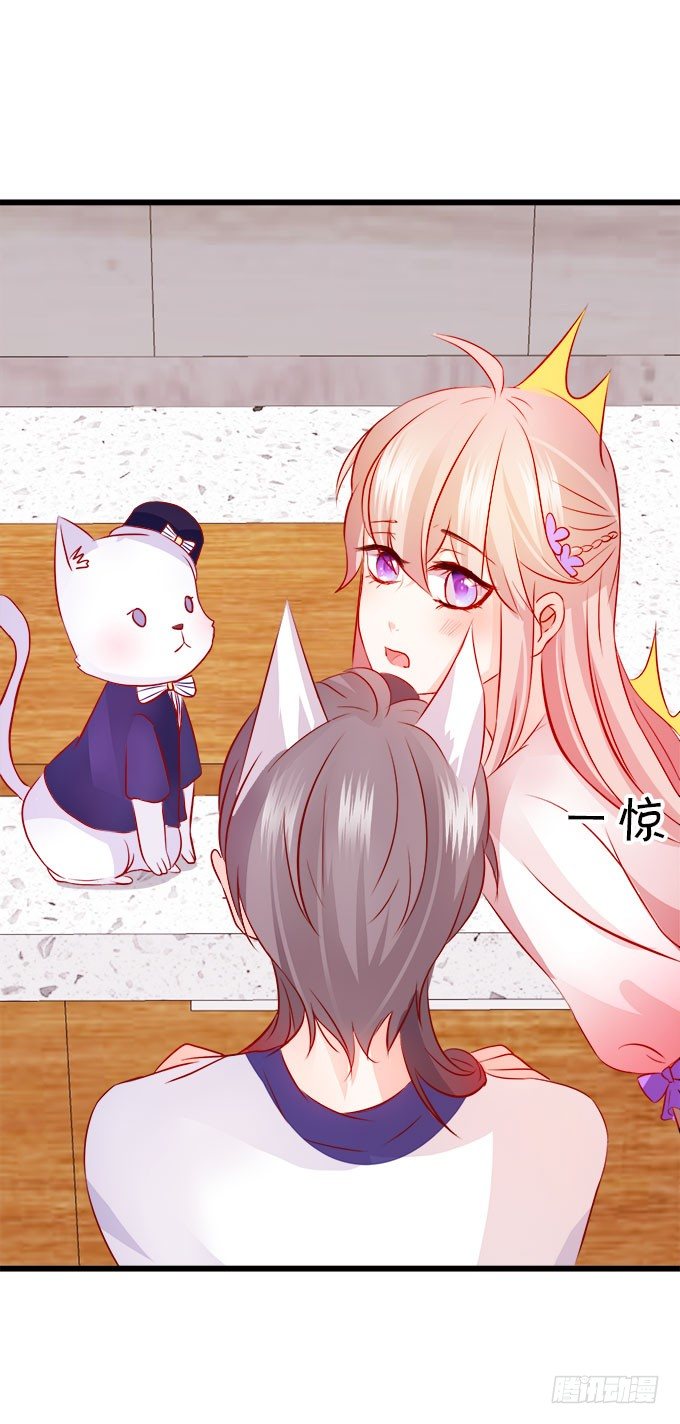 你们背着本尊计划什么呢？70