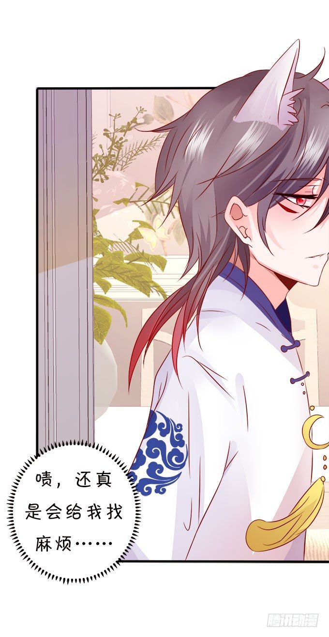 你们背着本尊计划什么呢？77