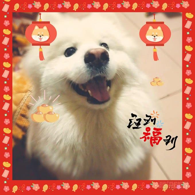 男人都是大猪蹄子！76