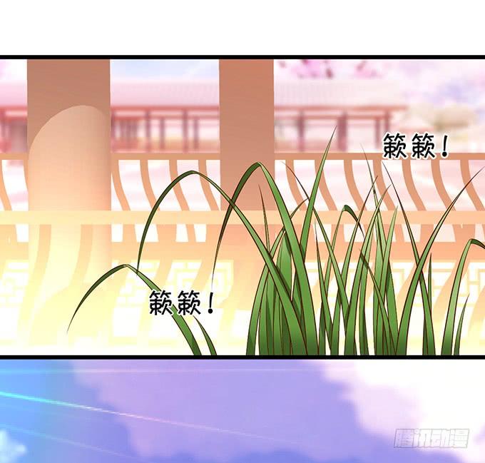 颜小七，我，喜欢你！8