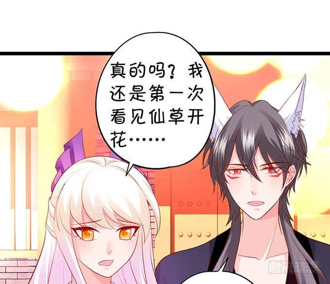 离修，为你我甘愿如此！6