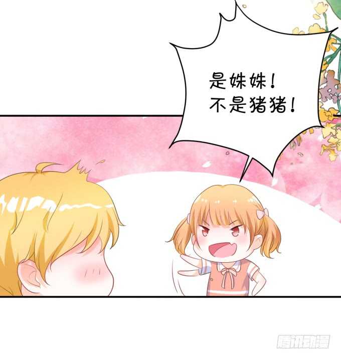 不是小猪猪是小姝姝！4