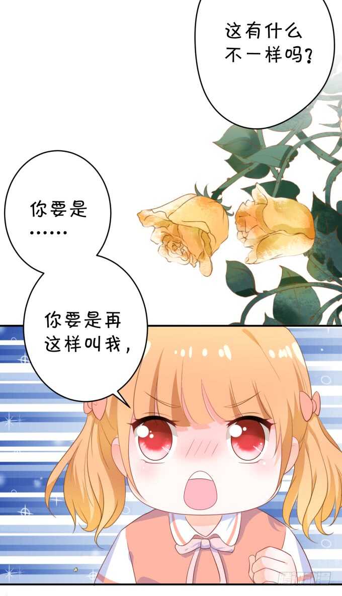 不是小猪猪是小姝姝！6