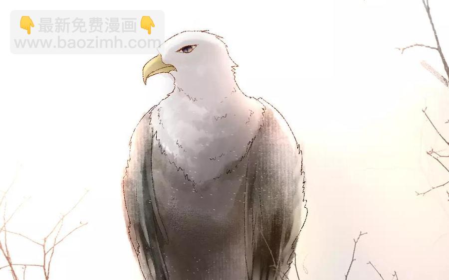 第165话 雄鹰与种子（上）65