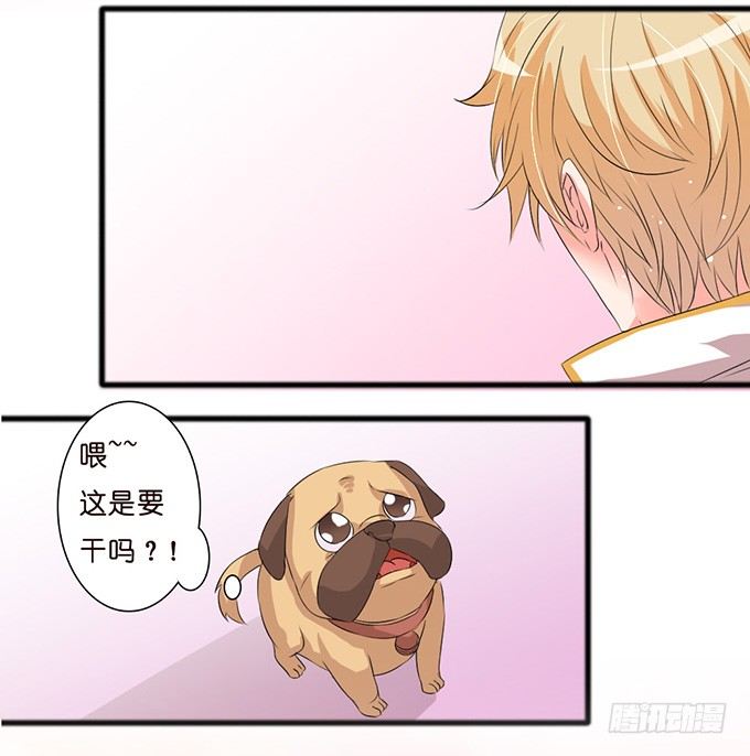悸动之吻69
