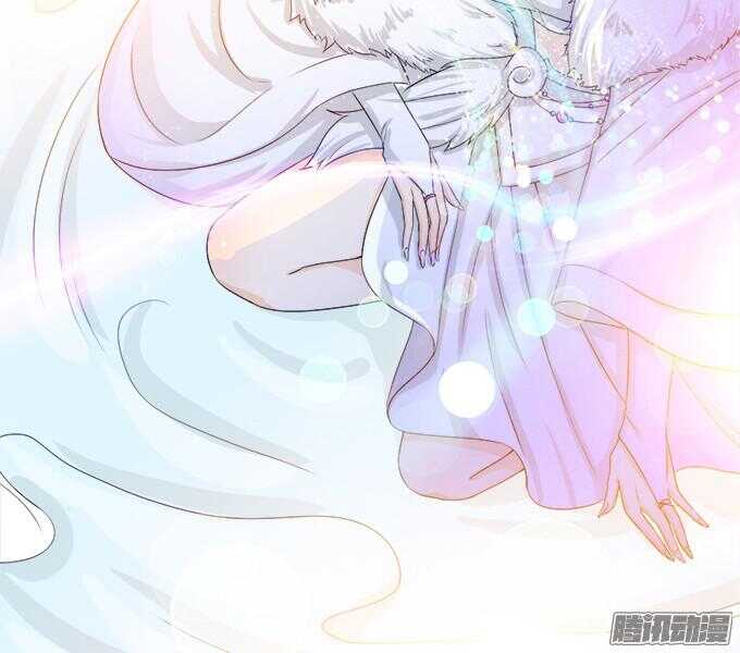 骑士的使命5