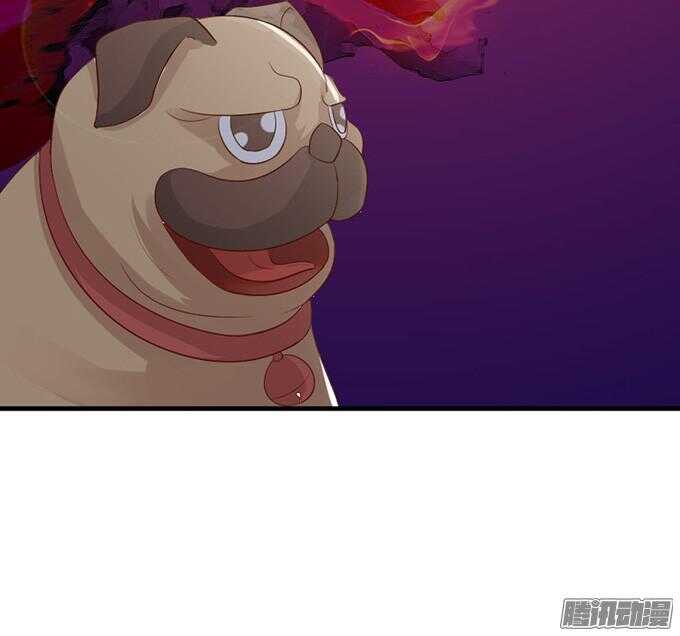 果真是天生一对30