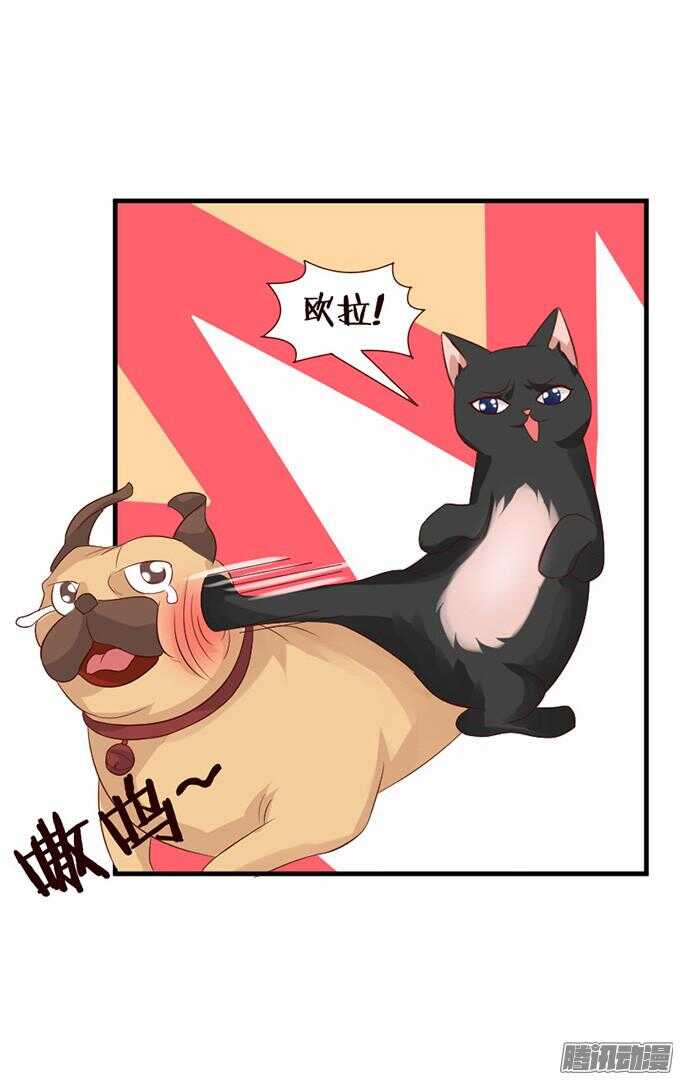 果真是天生一对32