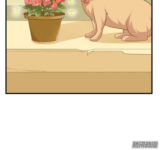 撒娇的方式9
